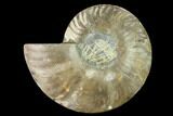 Agatized Ammonite Fossil (Half) - Madagascar #135253-1